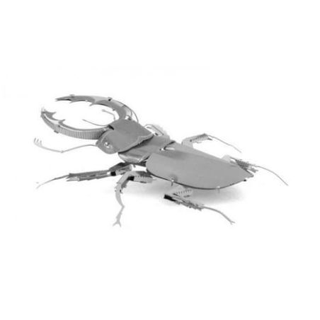 METALEARTH INSECTES COLEOPTERE