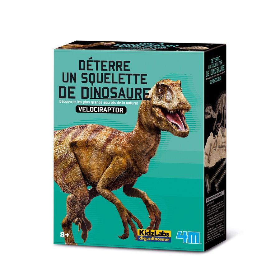 4M KIDZLABS DETERRE-TON-DINOSAURE (VELOCIRAPTOR) IM#10594