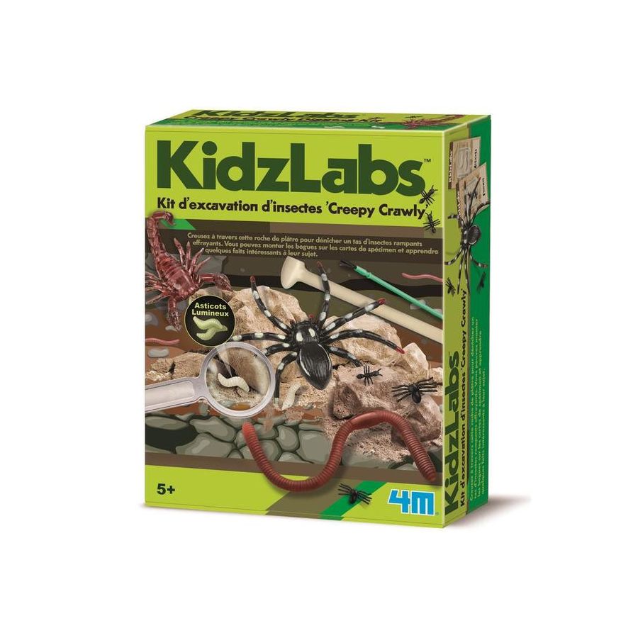 4M KIDZLABS KIT EXCAVATION INSECTES CREEPY CRAWLY IM#10604