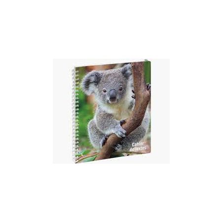 EXACOMPTA CAHIER DE TEXTES ANIMAUX SPIRALE 17X22CM VISUELS ASSORTIS