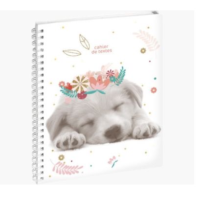 EXACOMPTA CAHIER DE TEXTES LOVELY SPIRALE 17X22CM VISUELS ASSORTIS