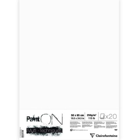 PAINT' ON BLANC 50 X 65 CM 250G 20 FEUILLES