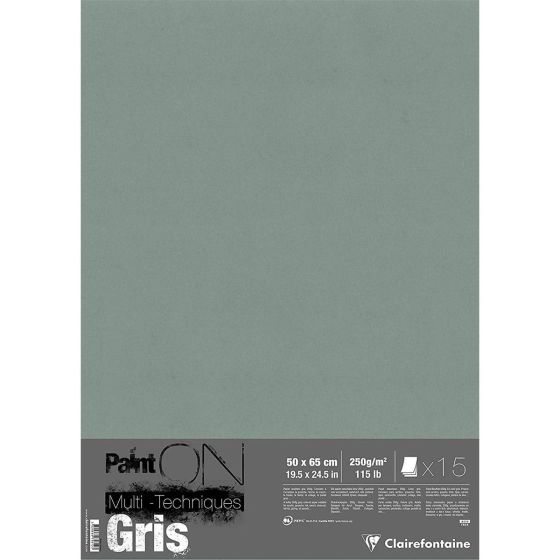 PAINT' ON GRIS 50X65 250G 15  FEUILLES IM#11689