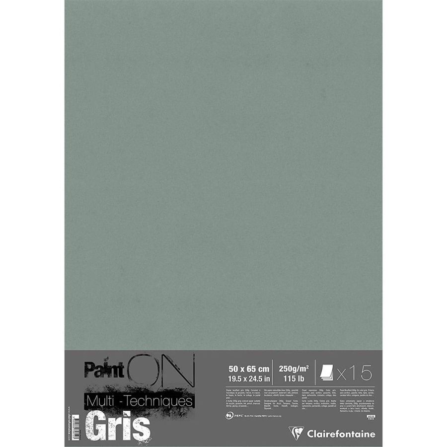 PAINT' ON GRIS 50X65 250G 15  FEUILLES IM#11689