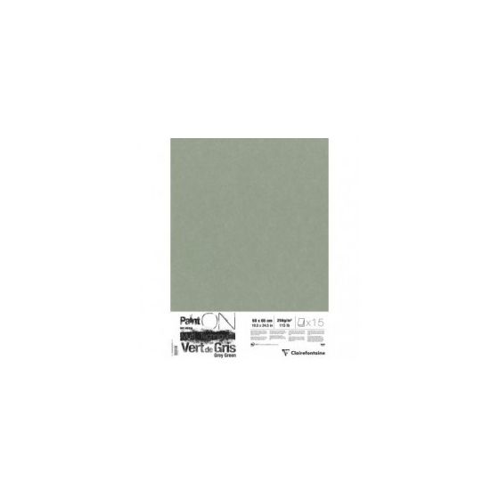 PAINT' ON VERT DE GRIS PQT 15F50X65 250G IM#11690