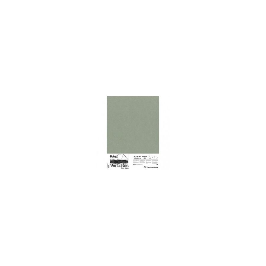 PAINT' ON VERT DE GRIS PQT 15F50X65 250G IM#11690