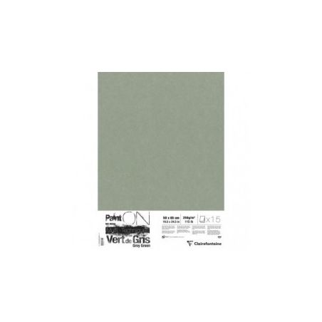 PAINT' ON VERT DE GRIS PQT 15F50X65 250G