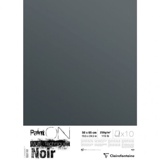 PAINT' ON NOIR PAQUET 10 FEUILLES 50 X 65 CM 250G IM#11692