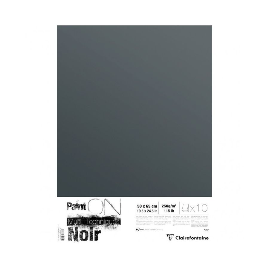 PAINT' ON NOIR PAQUET 10 FEUILLES 50 X 65 CM 250G IM#11692