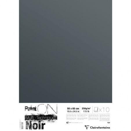 PAINT' ON NOIR PAQUET 10 FEUILLES 50 X 65 CM 250G