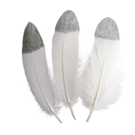 PLUMES A BOUT ARGENTE 4 X 19 CM 10 PCS