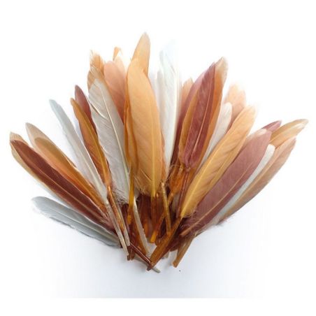 10 GR PLUMES D'INDIEN CAMAIEU BEIGE