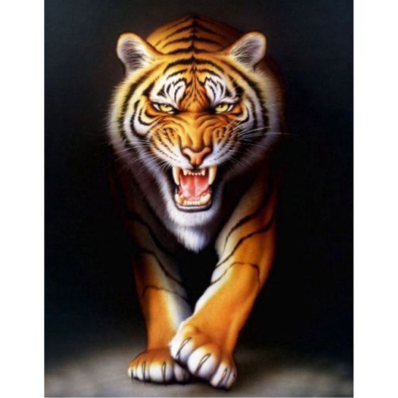 PEINTURE AU NUMERO - TIGRE...