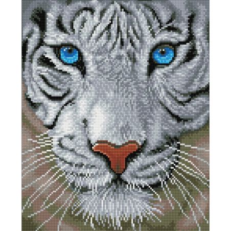 BRODERIE DIAMOND DOTZ - TIGRE BLANC