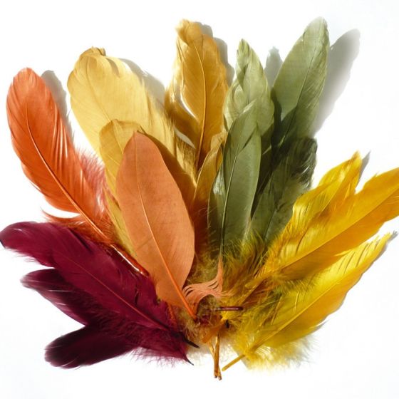 PLUMES COULEUR AUTOMNE 15G IM#1475