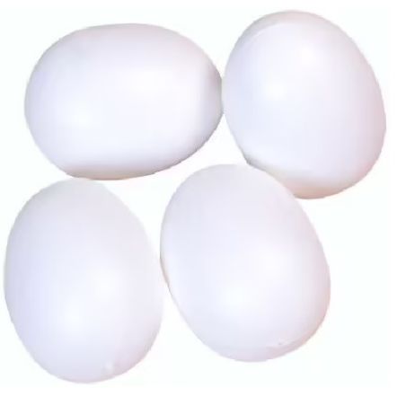 OEUF PLASTIQUE BLANC 6CM