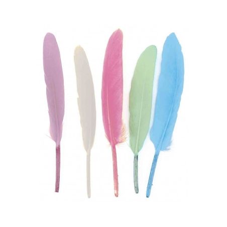 120 PLUMES INDIENNES - PASTEL