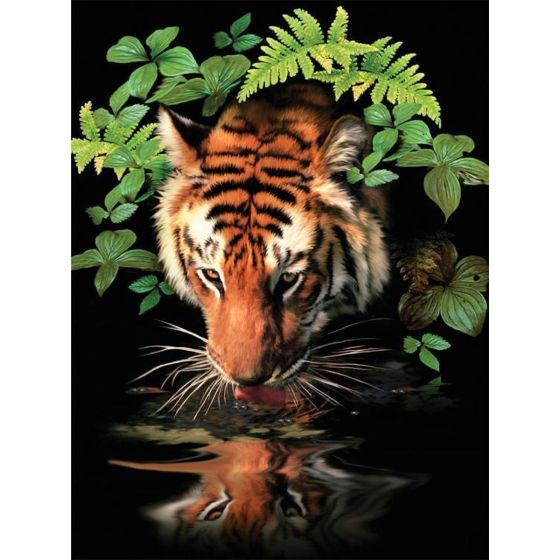 ROYAL & LANGNICKEL - PEINTURE AU N° - JUNIOR SMALL - TIGRE AU BORD DE LA RIVIERE