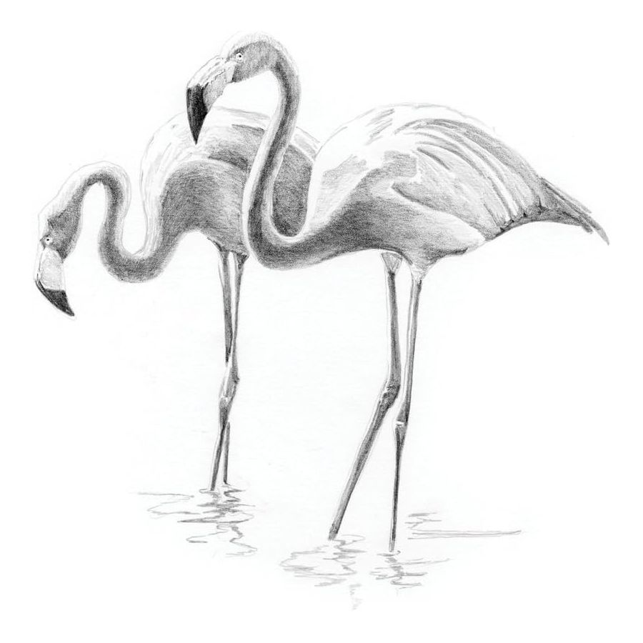 ROYAL & LANGNICKEL - MINI SKETCHING - LES FLAMANTS ROSES