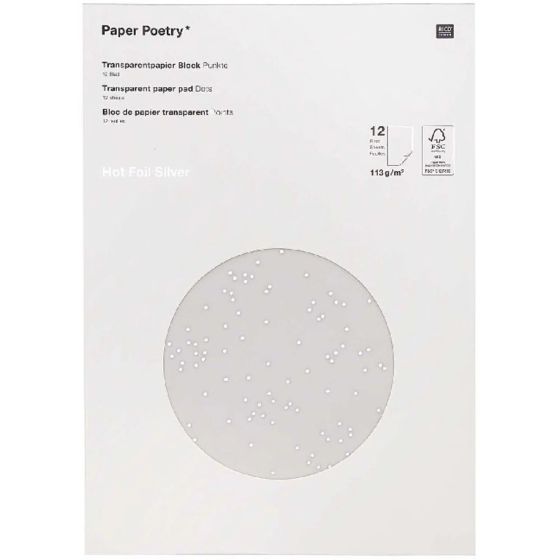 BLOC PAPIER TRANSPARENT POINTS ARGENT 12 FEUILLES RICO DESIGN