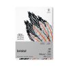 BLOC PAPIER BRISTOL 250G 20 FEUILLES WINSOR&NEWTON