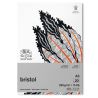 BLOC PAPIER BRISTOL 250G 20 FEUILLES WINSOR&NEWTON