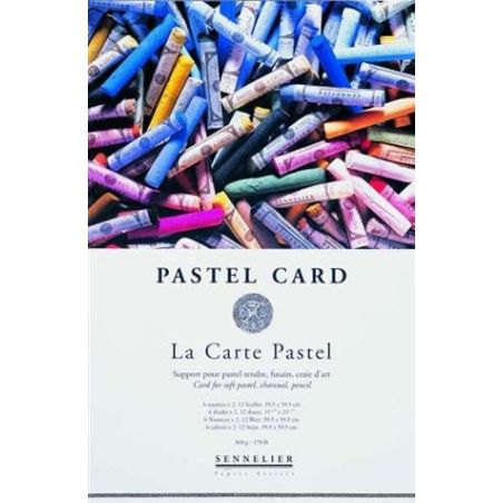 BLOC PASTEL CARD 6 NUANCES 360 G 24X32 SENNELIER