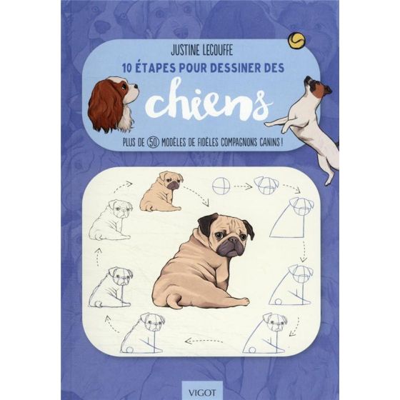 10 ETAPES POUR DESSINER LES CHIENS (LECOUFFE) IM#6268