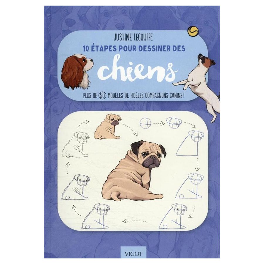 10 ETAPES POUR DESSINER LES CHIENS (LECOUFFE) IM#6268