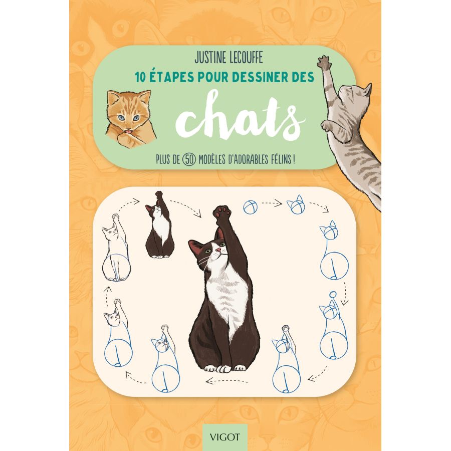 10 ETAPRES POUR DESSINER LES CHATS (LECOUFFE) IM#6269