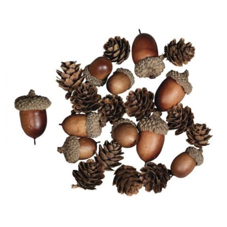 MELANGE DE CONES ET GLANDS 2-4CM - 27 PIECES