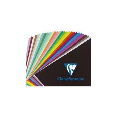 LOT DE 250 FEUILLES MAYA 50X70 120 G 10 COULEURS ASSORTIES