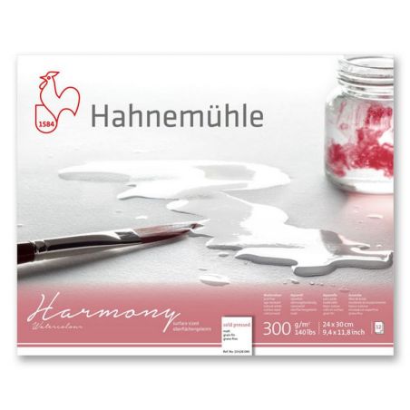 BLOC SPIRALE HARMONY GRAIN FIN AQUARELLE 300G A4 12 FEUILLES HAHNEMÜHLE