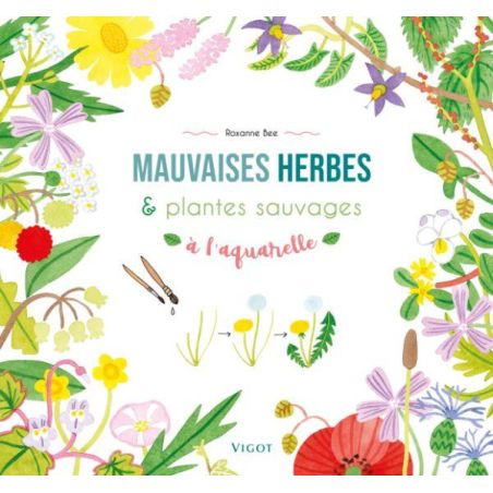 MAUVAISES HERBES ET PLANTES SAUVAGES A L'AQUARELLE