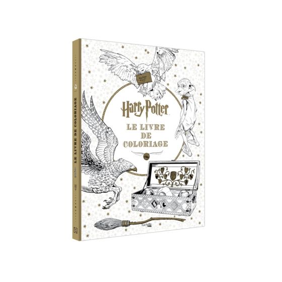 HARRY POTTER - LE LIVRE DE...