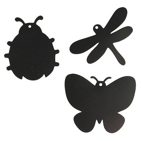 SET DE 6 INSECTES A GRATTER